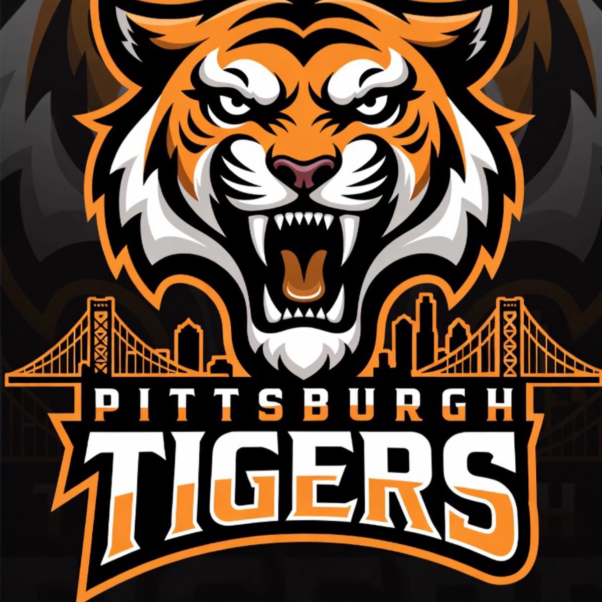 Pittsburgh Tigers 14U